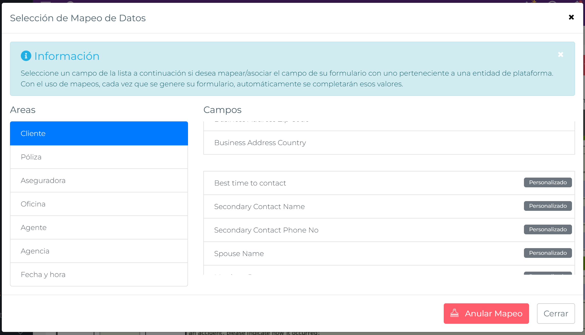 Panel Selección de Mapeo de Datos con scroll mostrando campos personalizados con etiqueta Personalizado debajo de los campos estándar