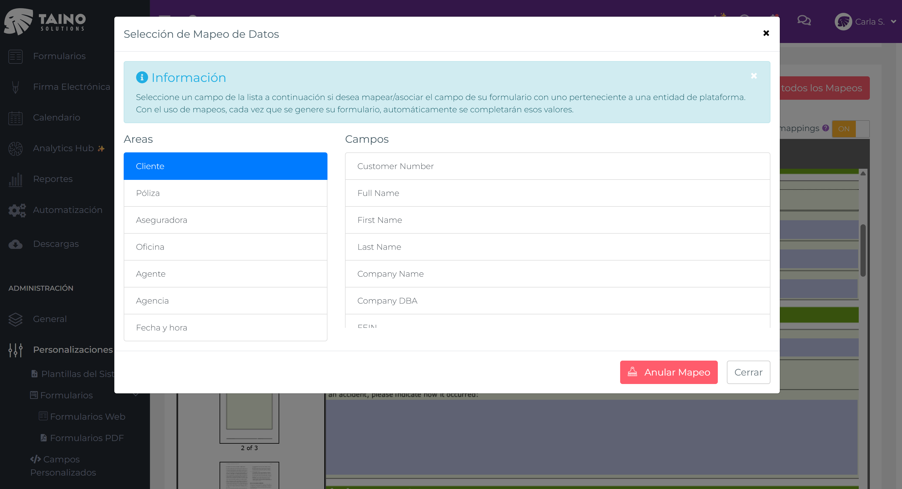 Panel Selección de Mapeo de Datos mostrando el área Cliente seleccionada y los campos listados a la derecha