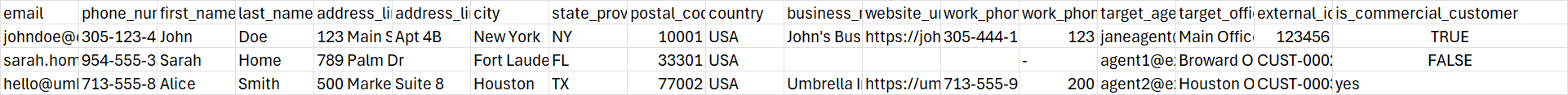 CSV file template with column headers and sample customer data